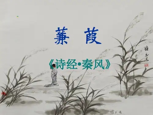 大学语文课件《蒹葭》