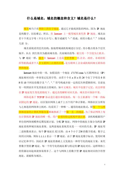什么是域名