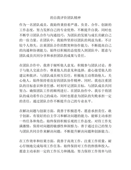 的自我评价团队精神