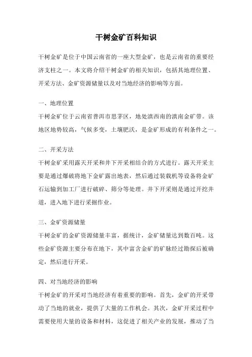 干树金矿百科知识