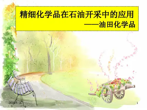 石油化学品PPT
