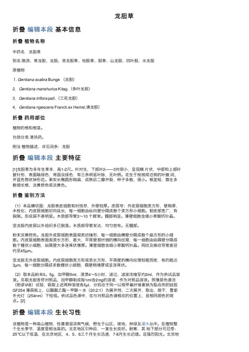 龙胆草——精选推荐