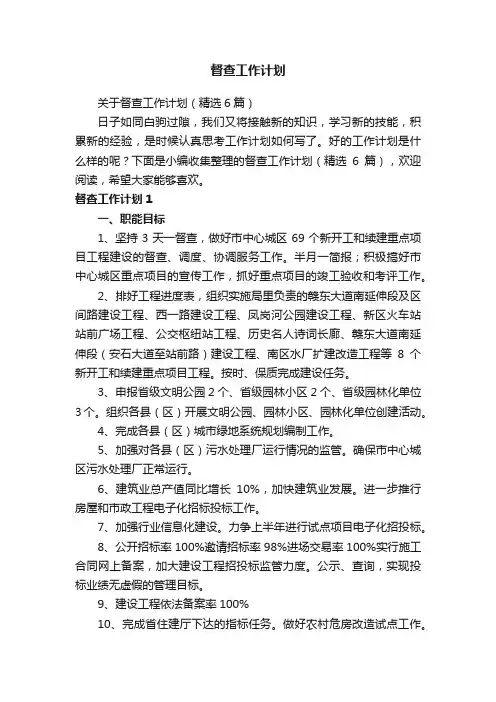 关于督查工作计划（精选6篇）