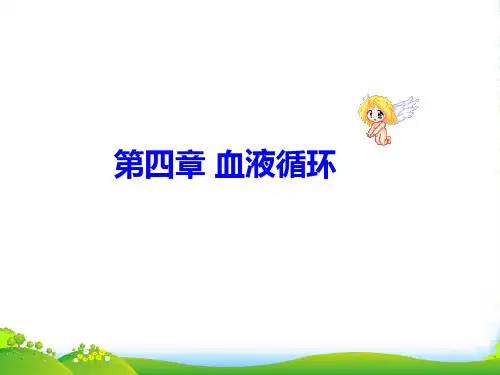 第四章血液循环(一)-医学课件