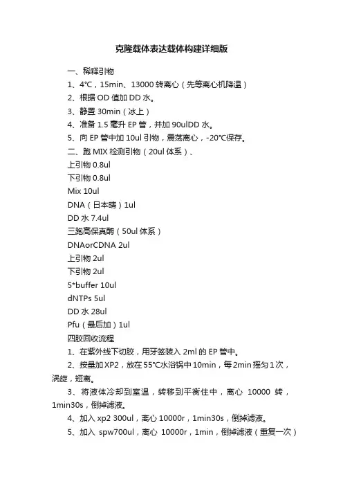 克隆载体表达载体构建详细版