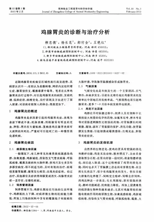 鸡腺胃炎的诊断与治疗分析
