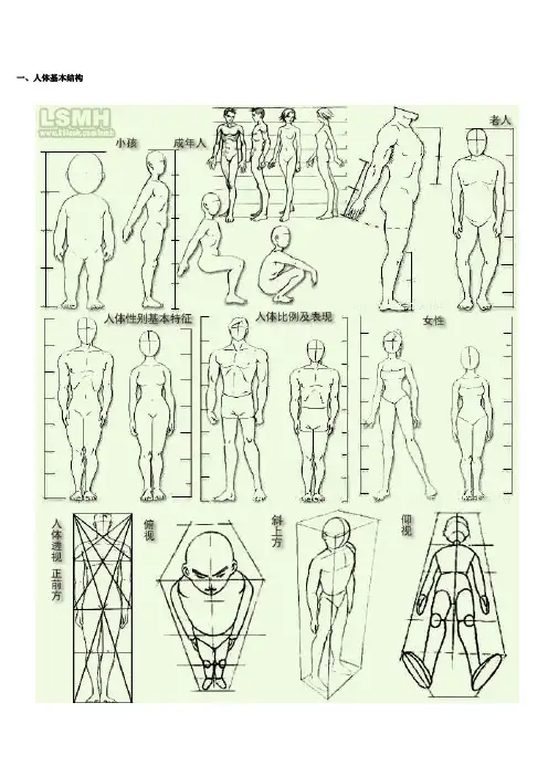 漫画的人体比例