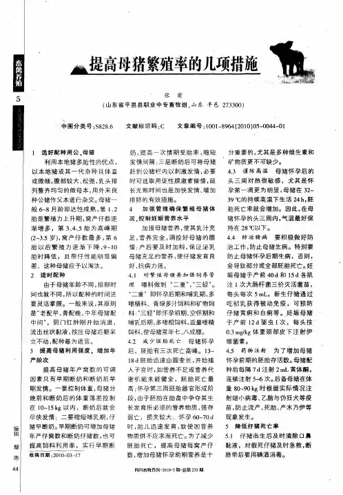 提高母猪繁殖率的几项措施