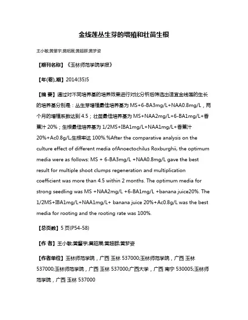金线莲丛生芽的增殖和壮苗生根
