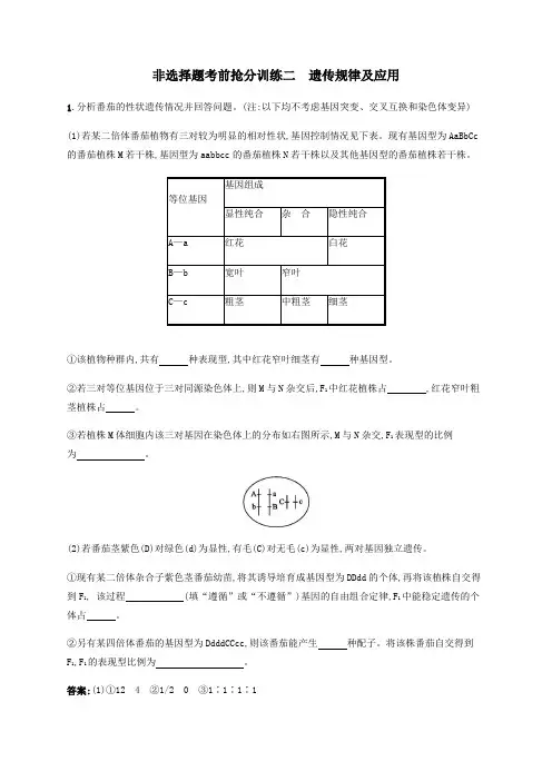 (广西专用)2020高考生物二轮复习非选择题考前抢分训练2遗传规律及应用(含解析)