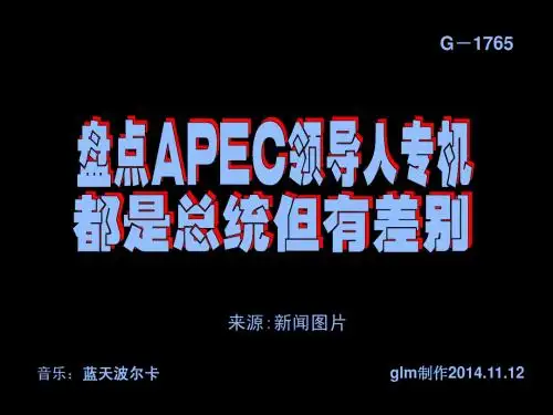 盘点APEC领导人专机