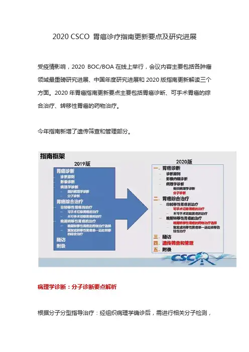 2020 CSCO 胃癌诊疗指南更新要点及研究进展
