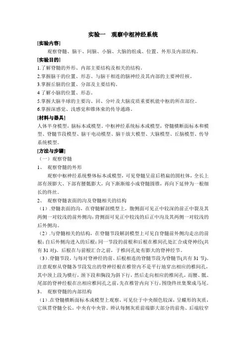 实验一 观察中枢神经系统
