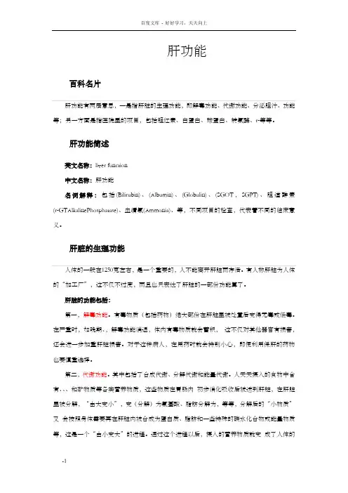 肝脏的功能