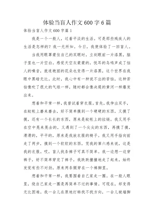 体验当盲人作文600字6篇