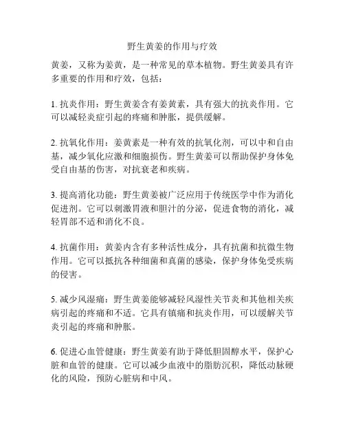野生黄姜的作用与疗效