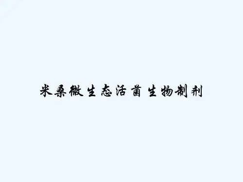 米桑微生态活菌生物制剂-PPT