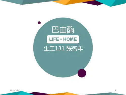 巴曲酶PPT课件