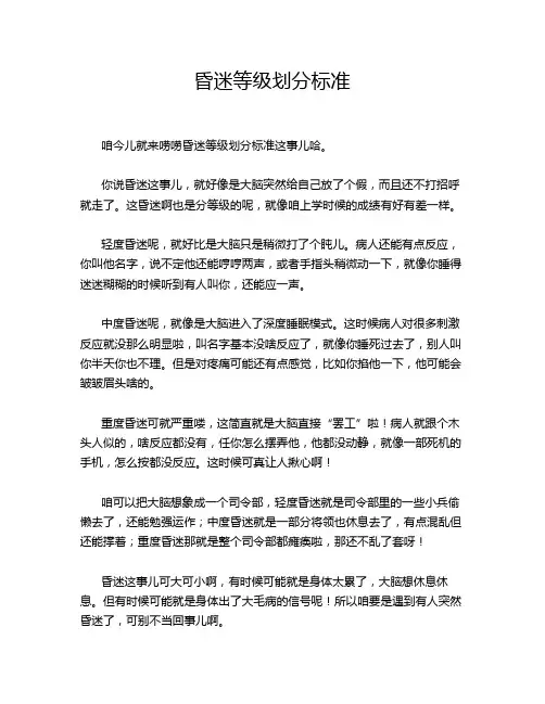 昏迷等级划分标准