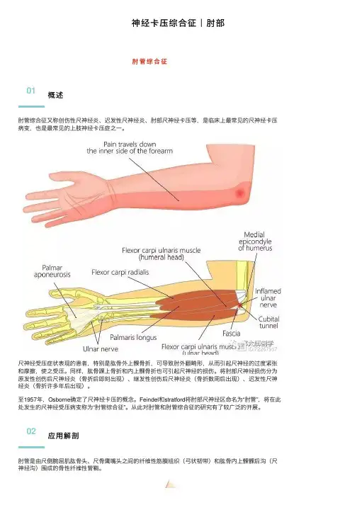 神经卡压综合征｜肘部
