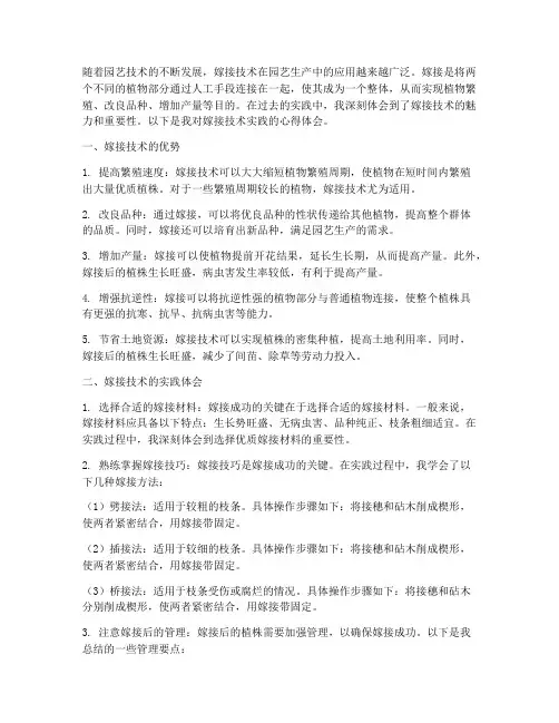 嫁接技术实践心得体会