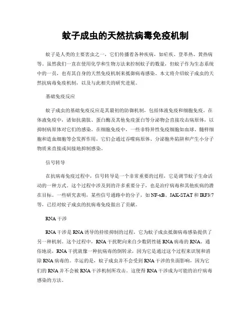 蚊子成虫的天然抗病毒免疫机制
