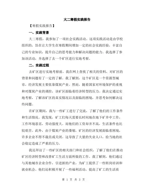 大二寒假实践报告