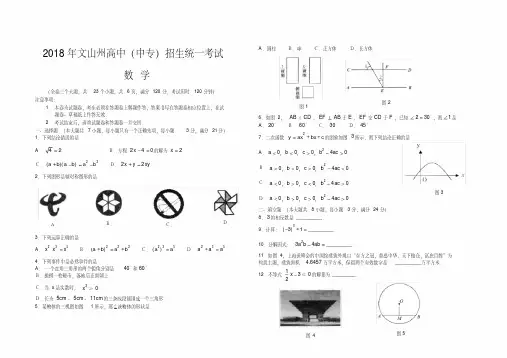 2018年云南省文山中考数学试题及答案精品