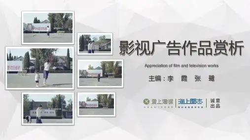 影视广告作品赏析第二章影视广告的鉴赏与评论PPT课件