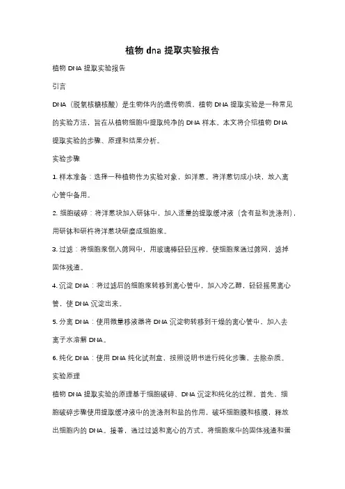 植物dna提取实验报告