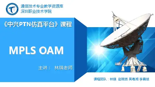 74PTNMPLS技术基础MPLS OAM.ppt