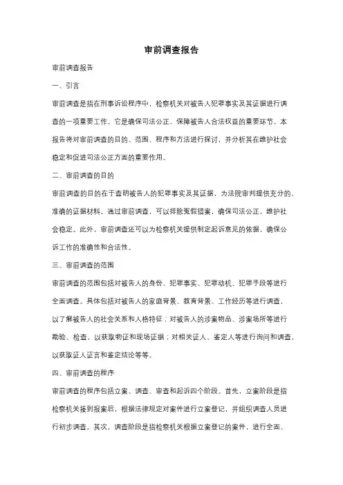 审前调查报告