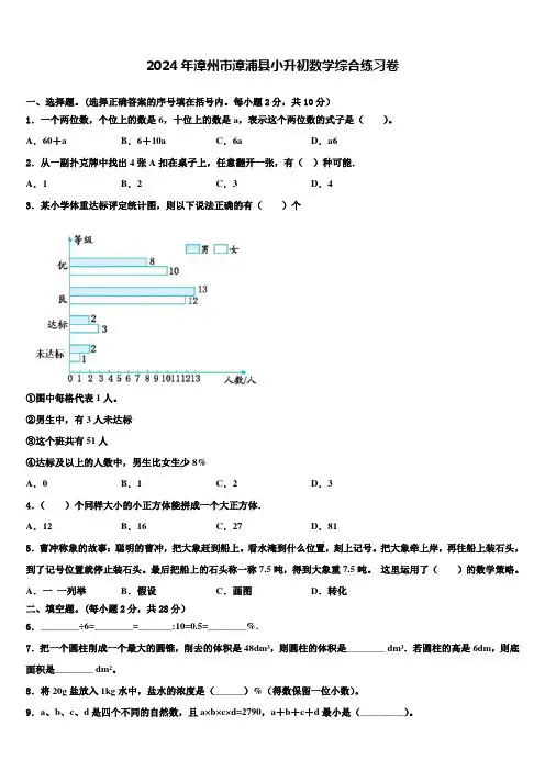 2024年漳州市漳浦县小升初数学综合练习卷含解析