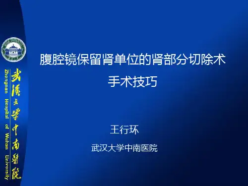 腹腔镜肾部分切除手术技巧PPT课件