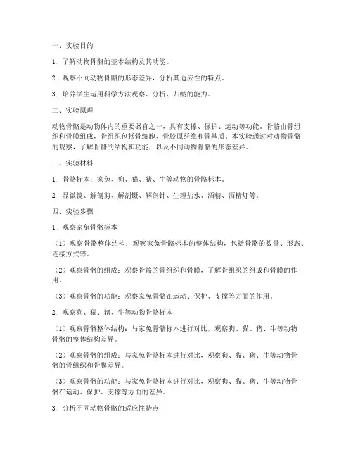 实验报告动物骨骼观察
