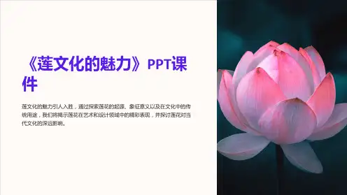 《莲文化的魅力》课件