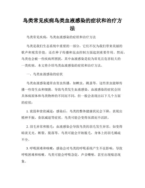 鸟类常见疾病鸟类血液感染的症状和治疗方法