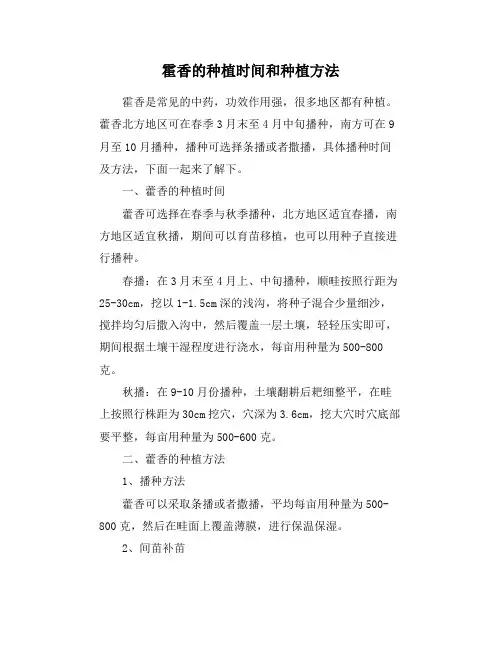 霍香的种植时间和种植方法