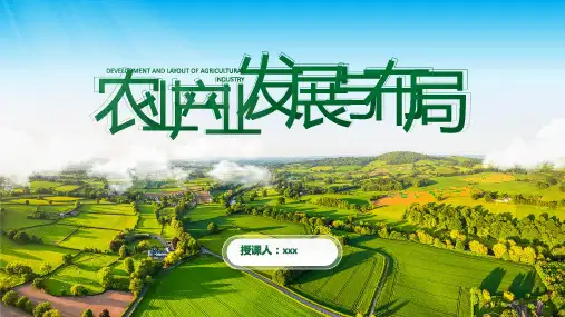 农业产业发展与布局PPT