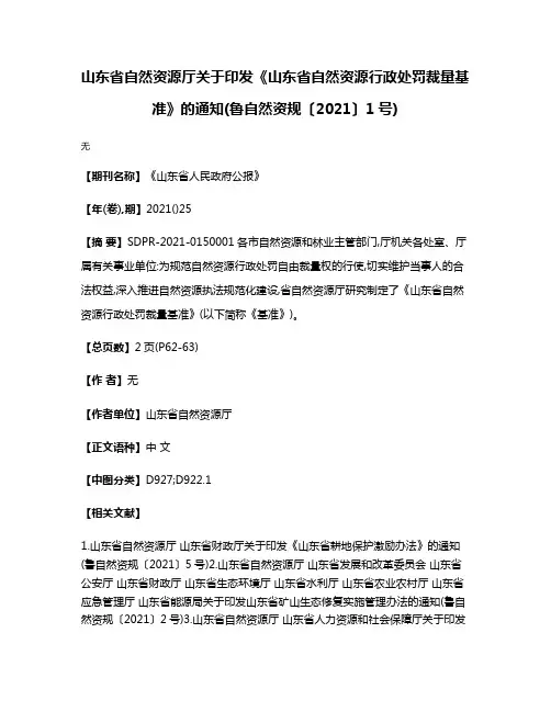 山东省自然资源厅关于印发《山东省自然资源行政处罚裁量基准》的通知(鲁自然资规〔2021〕1号)