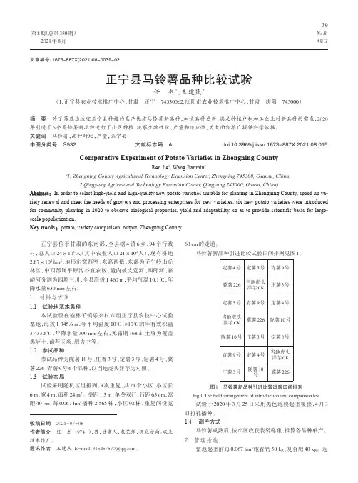 正宁县马铃薯品种比较试验