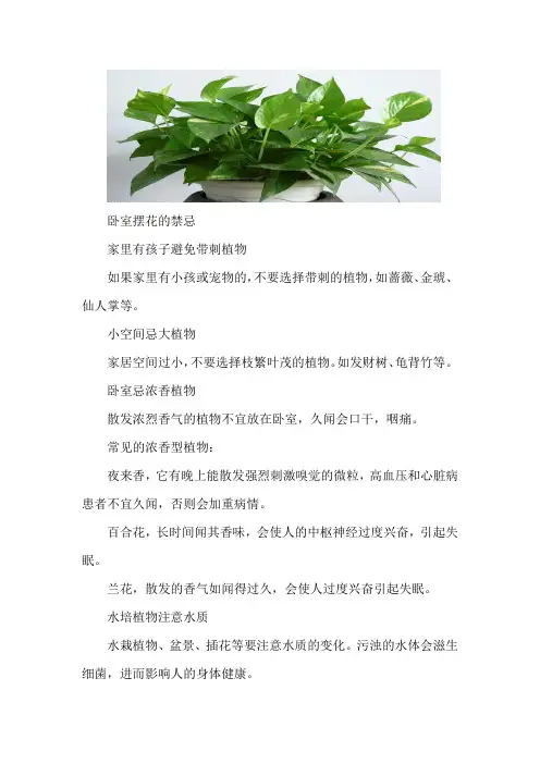 卧室养花有禁忌,养好了健康长寿,养不好日渐伤身