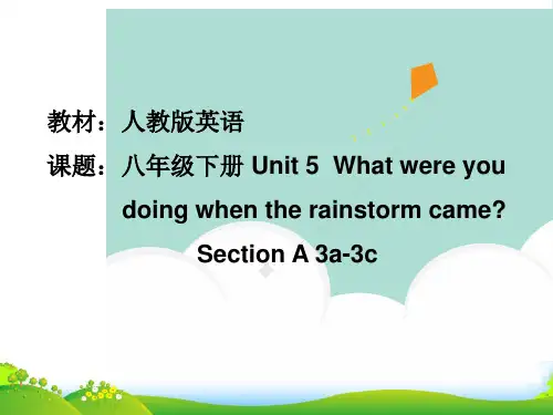 人教英语八年级下册Unit5SectionA3a3c (共24张PPT)