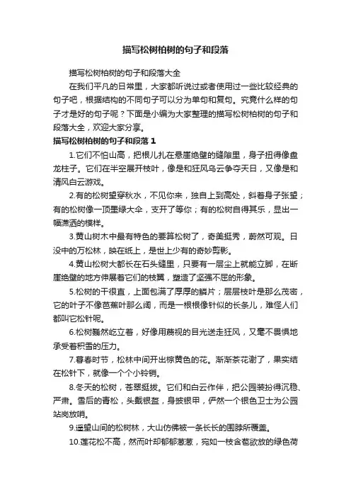 描写松树柏树的句子和段落大全