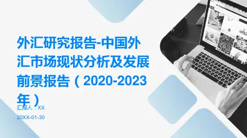 外汇研究报告-中国外汇市场现状分析及发展前景报告(2020-2023年)