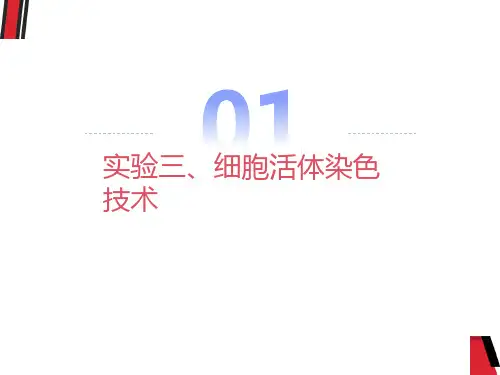 细胞活体染色技术