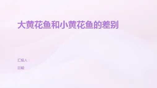大黄花鱼和小黄花鱼的差别