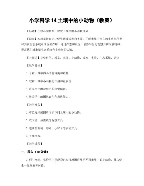 小学科学14土壤中的小动物(教案)