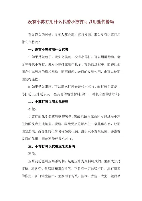 没有小苏打用什么代替 小苏打可以用盐代替吗