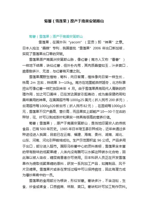菊薯（雪莲果）原产于南美安第斯山